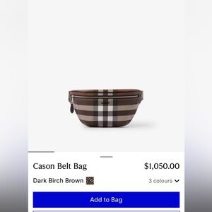 Burberry belt bag